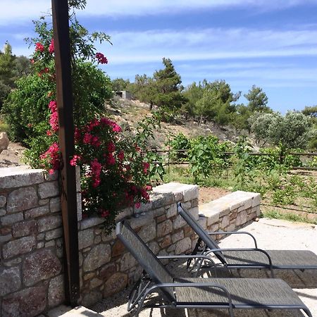 Auberge Kalopetri Κάμειρος Εξωτερικό φωτογραφία