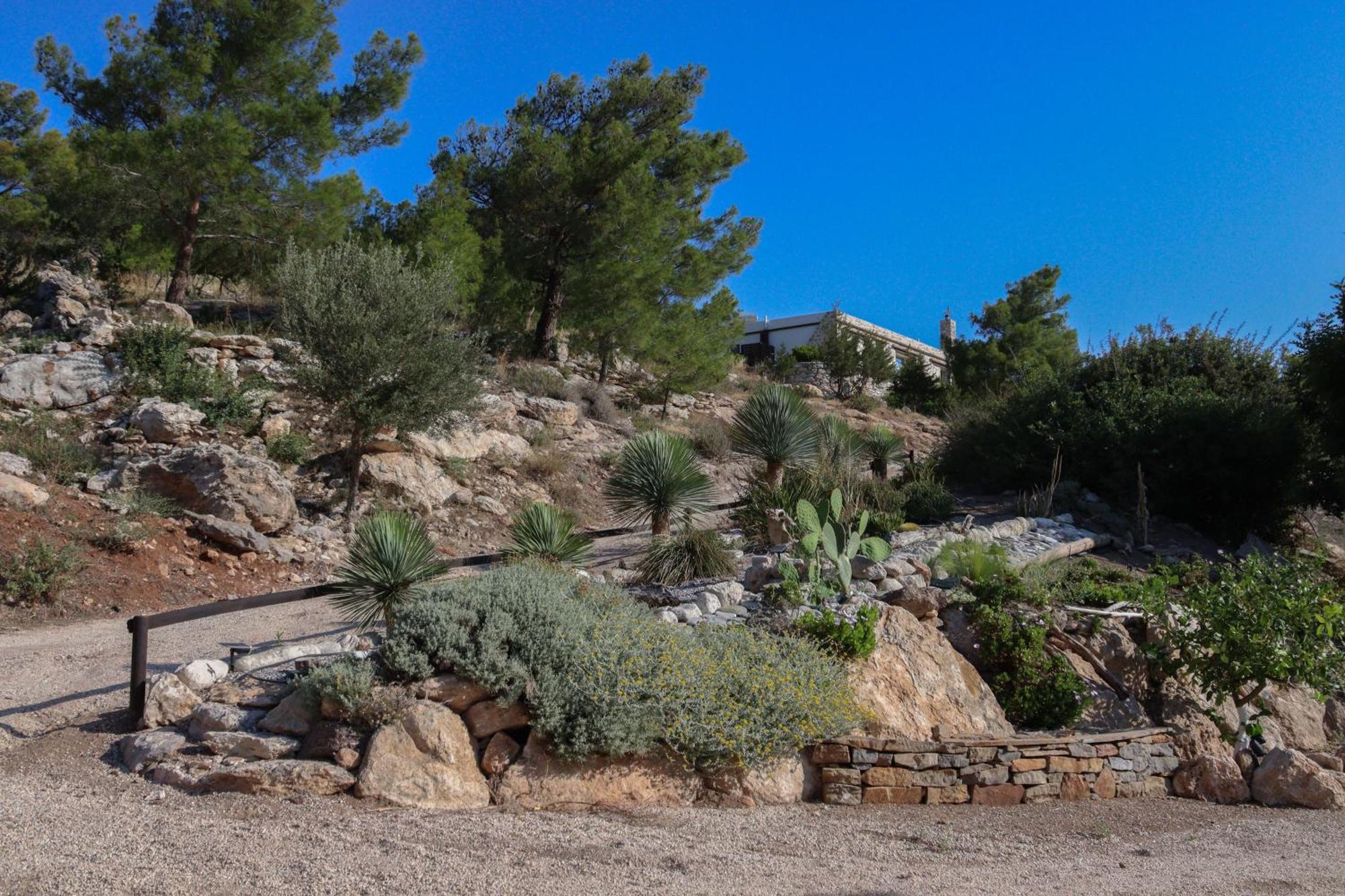Auberge Kalopetri Κάμειρος Εξωτερικό φωτογραφία