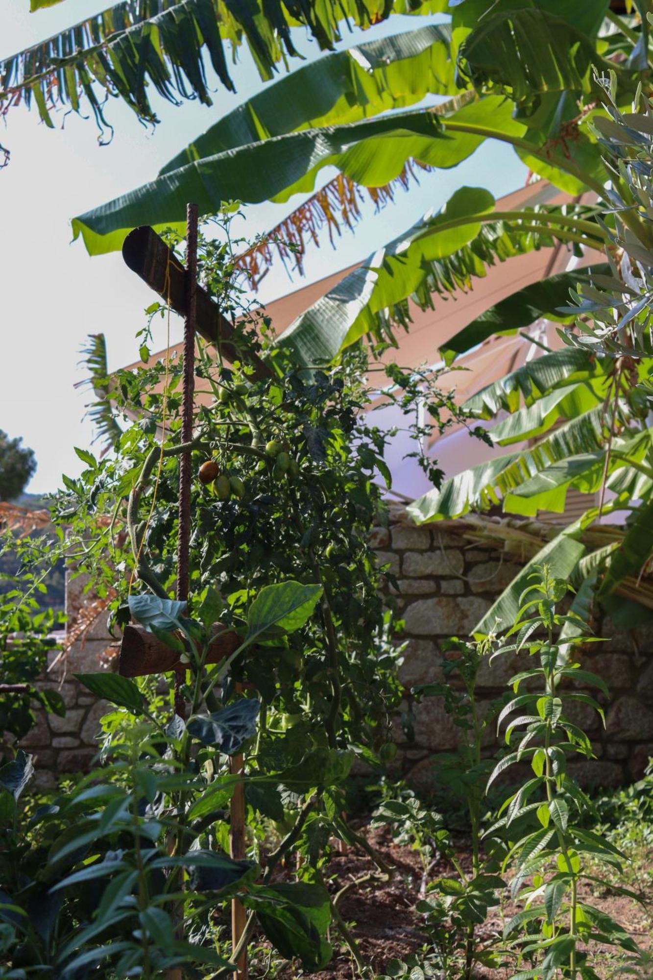 Auberge Kalopetri Κάμειρος Εξωτερικό φωτογραφία